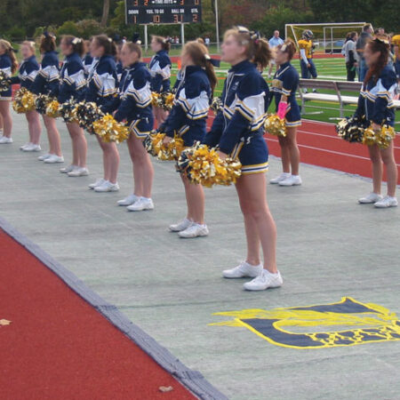 FieldSaver Weighted Track Protector 14' x 100'